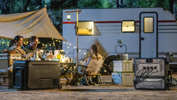 How to Take a Dog Winter Camping?