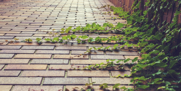 How to Keep Cool Without Electricity: Tips and DIY Hacks