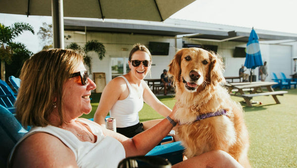 Top Pet-Friendly RV Parks And Essential Gear in the US (2026 Edition)