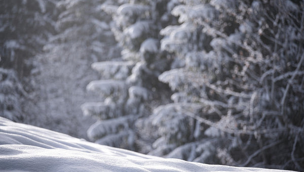 How to Stay Warm and Safe During a Power Outage: A Winter Storm Guide