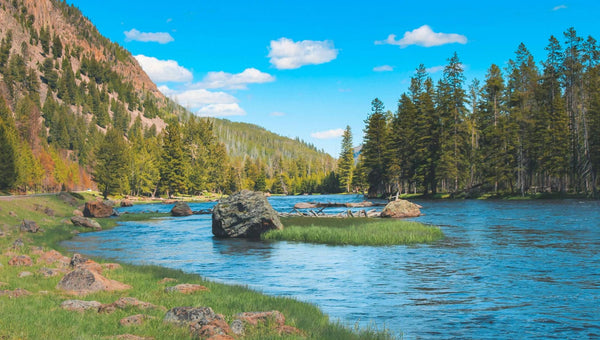 First-Time Camping Guide to Yellowstone National Park: The Complete 2026 Power-Aware Itinerary