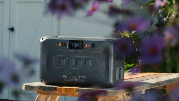 Apex 300 vs. Elite 400: Choosing Power for Your Lifestyle and Budget