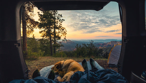 The Complete 2026 Guide to Safely and Legally Sleeping in Your Car