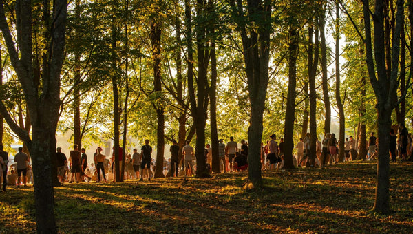 How to Stay Comfortable at Electric Forest 2026: The Multi-Day Solar Power Playbook