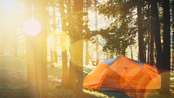 Best Portable Solar Panels for Camping & Hiking (2026 Buyer's Guide)
