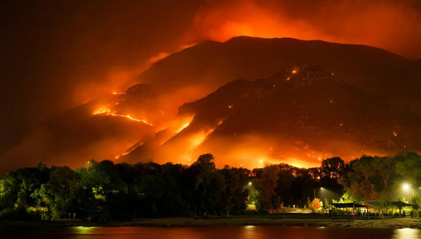 How to Prepare for a Wildfire: Safety and Evacuation Guide