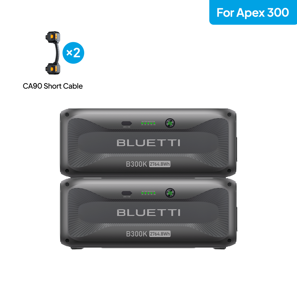 2*B300K for Apex 300