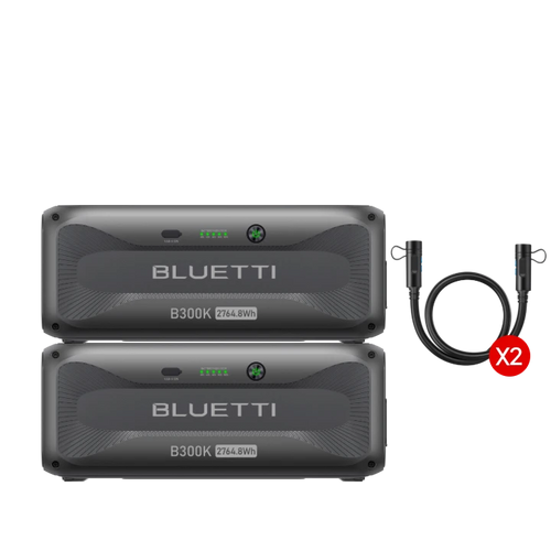 2*B300K1