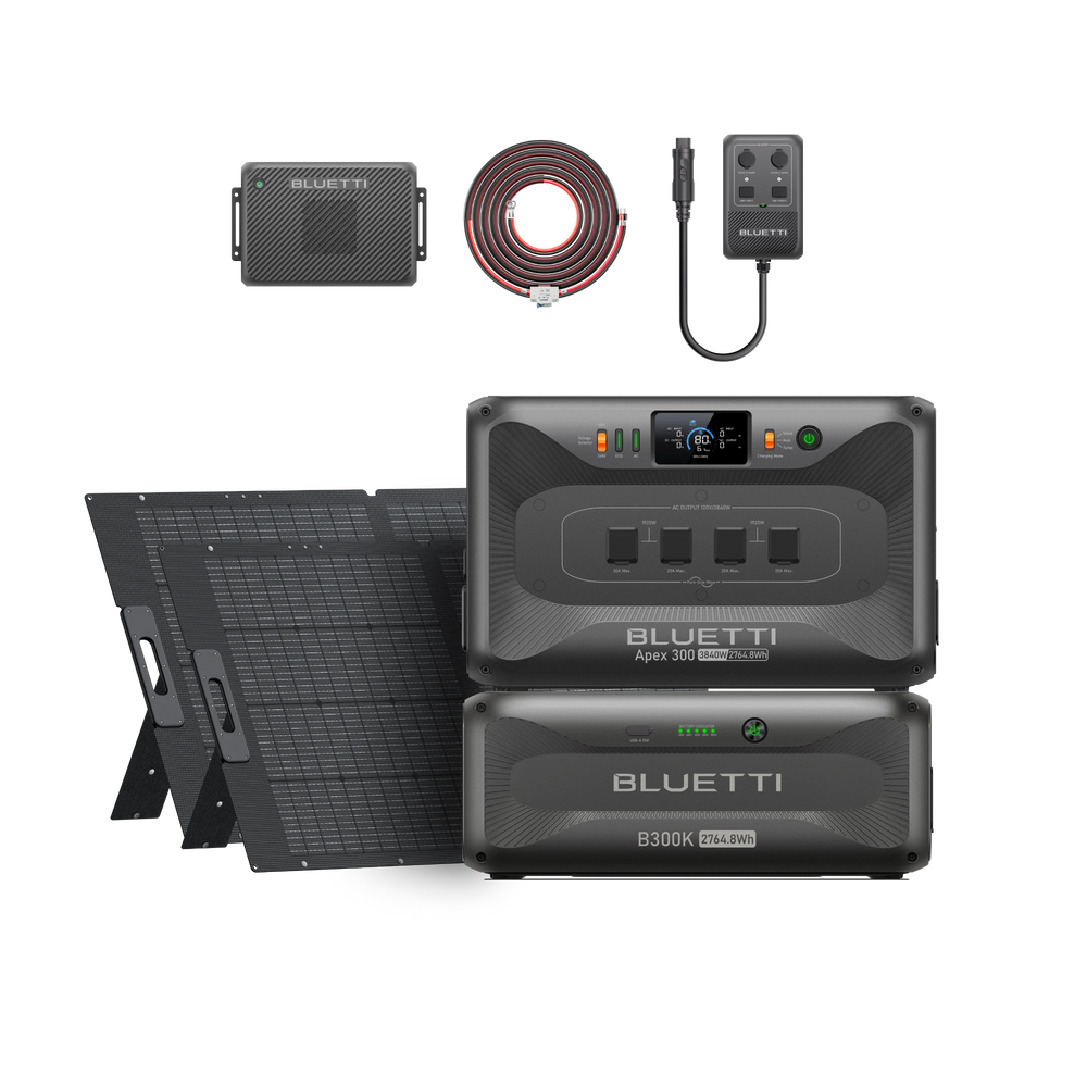 Apex 300 + B300K + Charger 2 + Hub D1 + 2 × 350W