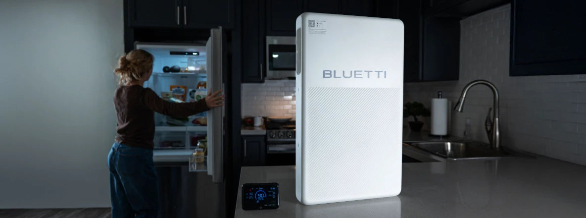 Fridge Backup Power Kit
